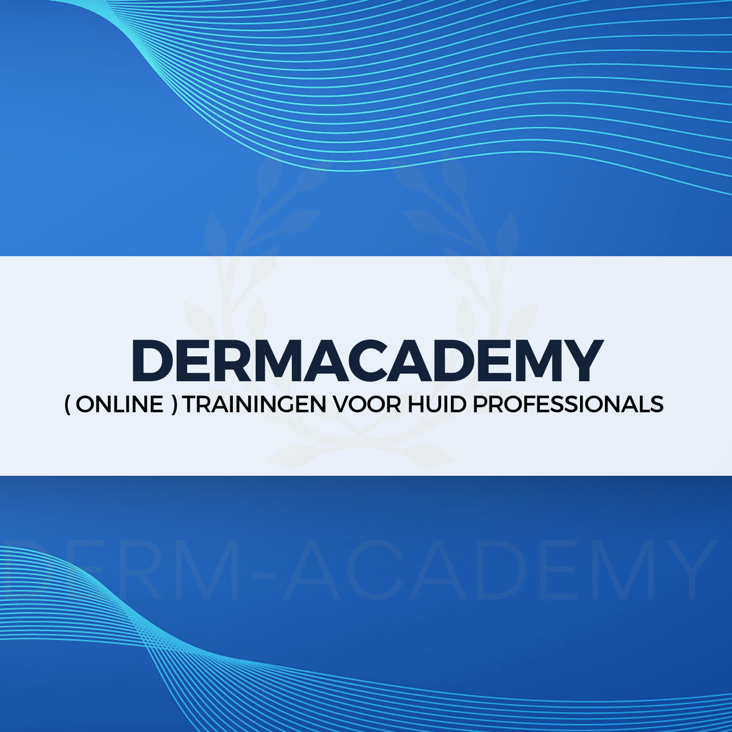 Cropped Cropped Dermacademy Online.png